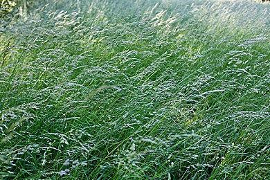 《生化危机》MV展示1996年到2023年全系列进化历程